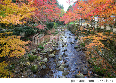 Autumn leaves of Buddhist Temple river Autumn leaves of Buddhist Temple river 26671075