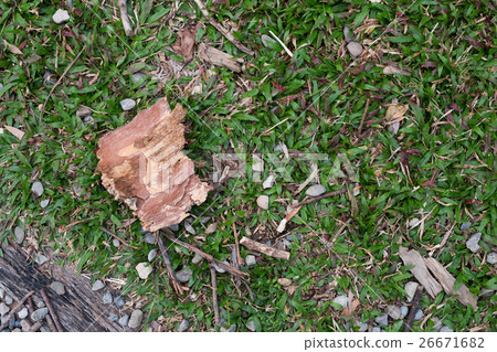 Kuchiki Kuchiki 26671682