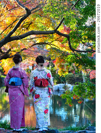和服的婦女看秋葉 26672019