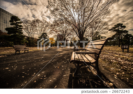 Lonely autumn bench 26672243