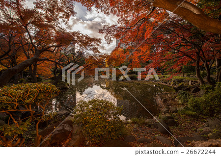 Autumn scenery autumn leaves 26672244
