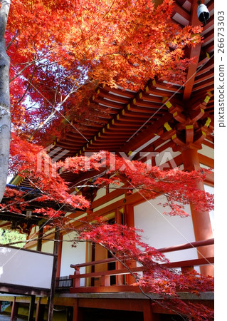 Autumn leaves of Kuanji 26673303