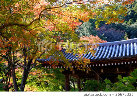 Kuanji秋葉 Kuanji秋葉 26673325