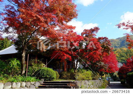 Autumn leaves of Kuanji Autumn leaves of Kuanji 26673416