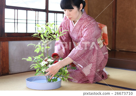 花佈置/做和插花的和服的婦女 26673710