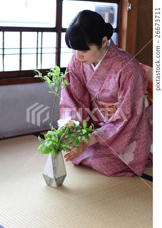 Flower arrangement / woman in kimono making flower arrangement 26673711