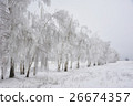 Trees in snow 26674357