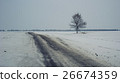 Road and lonely tree in gloomy winter 26674359