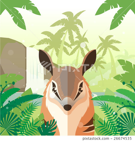 Numbat on the Jungle Background 26674535
