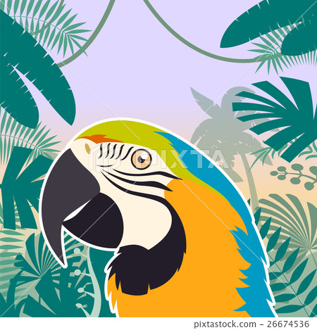 Macaw on the Jungle Background 26674536