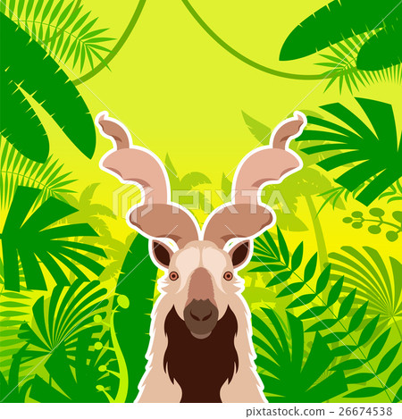 Markhor on the Jungle Background 26674538