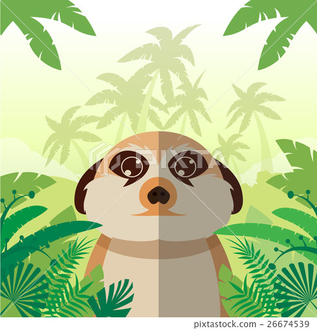 Meerkat on the Jungle Background 26674539