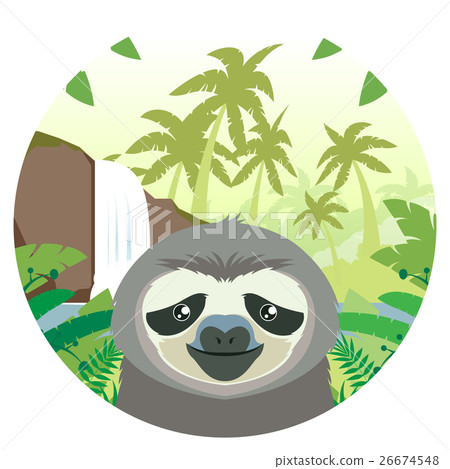 Sloth on the Jungle Background Sloth on the Jungle Background 26674548