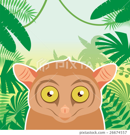 Tarsier on the Jungle Background 26674557