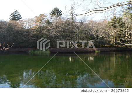 Kunisaki pond in early December 26675835