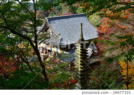 Nara, Okadera main hall 26677103