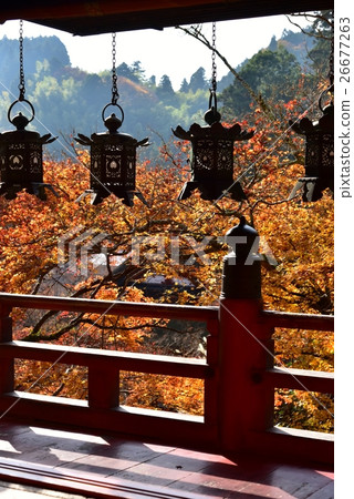 奈良,蘇珊神社掛著大廳的燈籠 奈良,蘇珊神社掛著大廳的燈籠 26677263