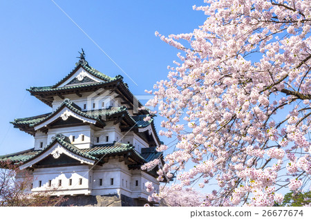 弘前公園的櫻花 26677674