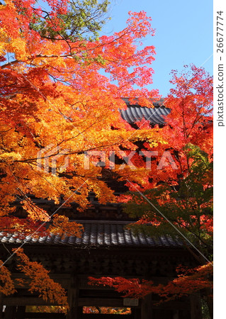 秋葉和艾肯基的山門 26677774