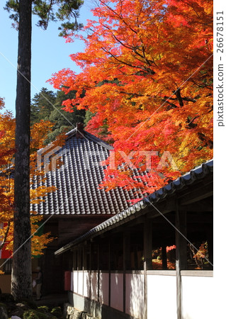 Eikenji秋葉 26678151