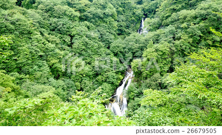 陽光霧落 26679505