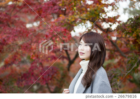 奈良縣奈良市奈良公園的秋葉支持的一位年輕女士 奈良縣奈良市奈良公園的秋葉支持的一位年輕女士 26679816