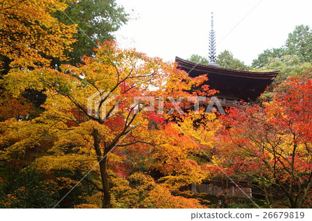 Kimpo-ji寺廟秋葉 26679819