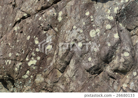 Rough rough skin 26680133