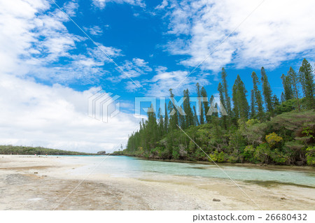 Pischenne Naturre (New Caledonia Ile des Pins) Pischenne Naturre (New Caledonia Ile des Pins) 26680432