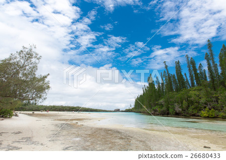 Pischenne Naturre (New Caledonia Ile des Pins) Pischenne Naturre (New Caledonia Ile des Pins) 26680433