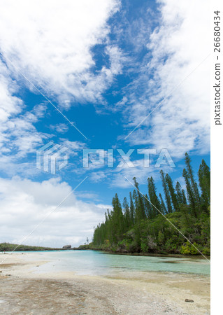 Pischenne Naturre (New Caledonia Ile des Pins) Pischenne Naturre (New Caledonia Ile des Pins) 26680434