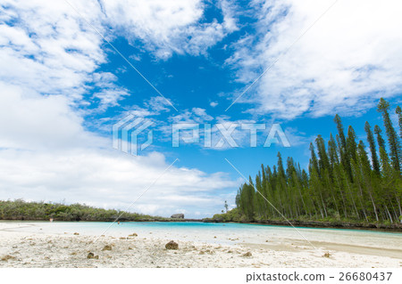 Pischenne Naturre(新喀裡多尼亞Ile des Pins) Pischenne Naturre(新喀裡多尼亞Ile des Pins) 26680437