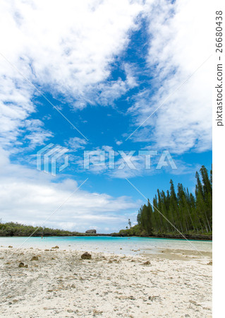 Pischenne Naturre(新喀裡多尼亞Ile des Pins) Pischenne Naturre(新喀裡多尼亞Ile des Pins) 26680438