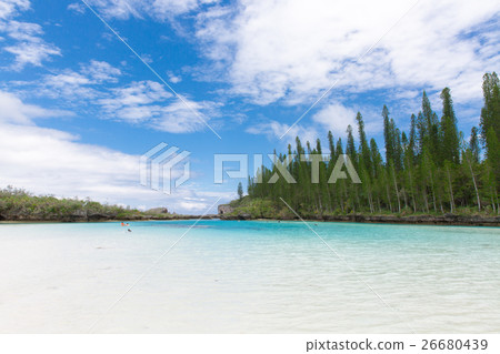 Pischenne Naturre (New Caledonia Ile des Pins) Pischenne Naturre (New Caledonia Ile des Pins) 26680439
