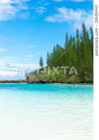 Pischenne Naturre (New Caledonia Ile des Pins) Pischenne Naturre (New Caledonia Ile des Pins) 26680443
