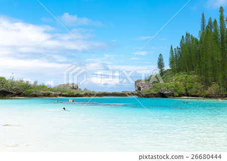 Pischenne Naturre (New Caledonia Ile des Pins) Pischenne Naturre (New Caledonia Ile des Pins) 26680444