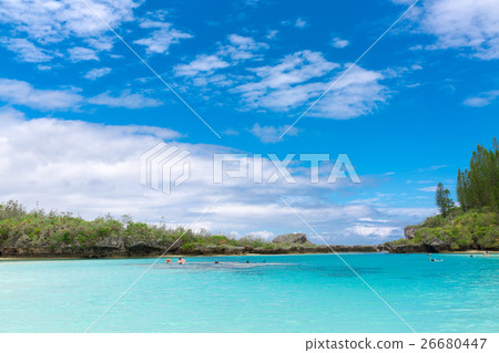 Pischenne Naturre（新喀裡多尼亞Ile des Pins） 26680447