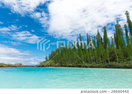 Pischenne Naturre (New Caledonia Ile des Pins) Pischenne Naturre (New Caledonia Ile des Pins) 26680448