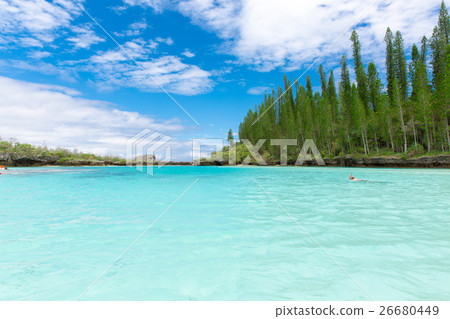 Pischenne Naturre(新喀裡多尼亞Ile des Pins) Pischenne Naturre(新喀裡多尼亞Ile des Pins) 26680449