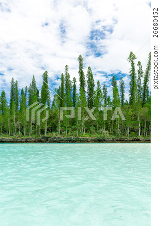 Pischenne Naturre (New Caledonia Ile des Pins) Pischenne Naturre (New Caledonia Ile des Pins) 26680452