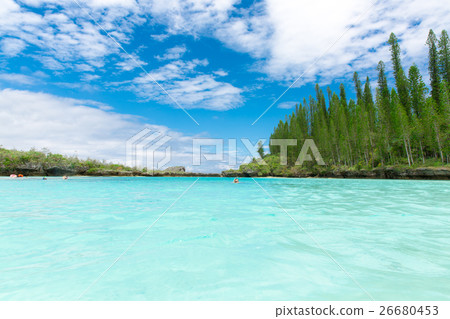 Pischenne Naturre (New Caledonia Ile des Pins) 26680453