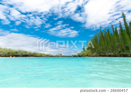 Pischenne Naturre (New Caledonia Ile des Pins) Pischenne Naturre (New Caledonia Ile des Pins) 26680457