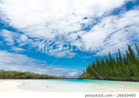 Pischenne Naturre (New Caledonia Ile des Pins) Pischenne Naturre (New Caledonia Ile des Pins) 26680460