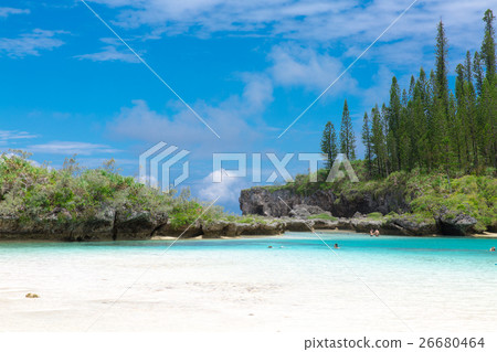 Pischenne Naturre (New Caledonia Ile des Pins) Pischenne Naturre (New Caledonia Ile des Pins) 26680464