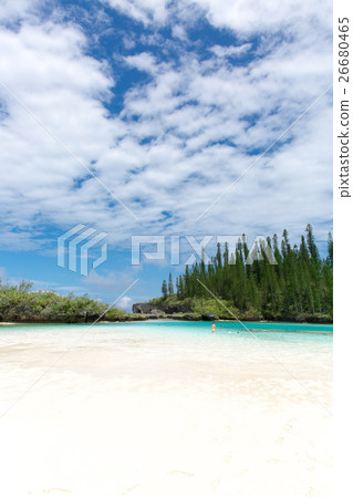 Pischenne Naturre (New Caledonia Ile des Pins) Pischenne Naturre (New Caledonia Ile des Pins) 26680465