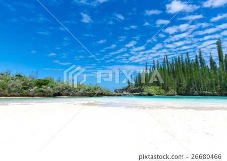 Pischenne Naturre (New Caledonia Ile des Pins) Pischenne Naturre (New Caledonia Ile des Pins) 26680466