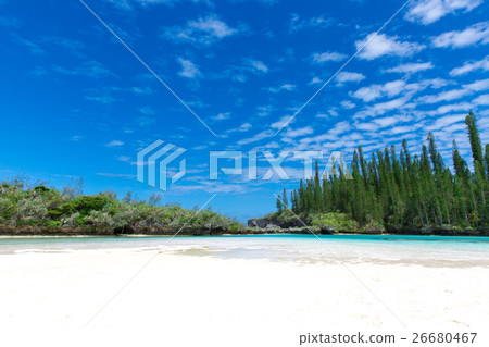 Pischenne Naturre (New Caledonia Ile des Pins) 26680467