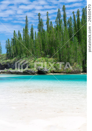 Pischenne Naturre (New Caledonia Ile des Pins) 26680470