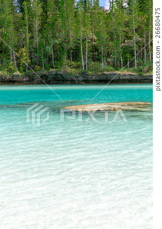 Pischenne Naturre (New Caledonia Ile des Pins) Pischenne Naturre (New Caledonia Ile des Pins) 26680475