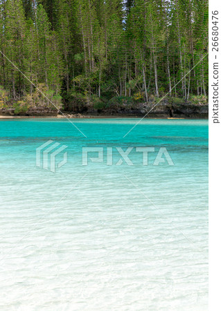 Pischenne Naturre (New Caledonia Ile des Pins) Pischenne Naturre (New Caledonia Ile des Pins) 26680476